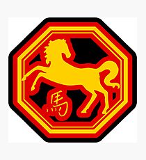 Chinese Zodiac Horse - Year of The Horse Photographic Print