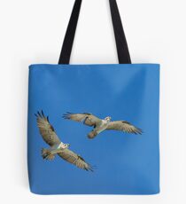 Osprey (Pandion haliaetus) Tote Bag