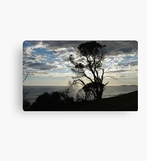 NAROOMA Canvas Print