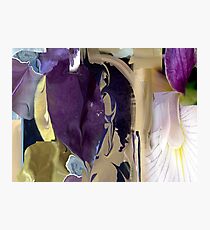 Petals - nb 2 Photographic Print