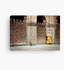Sun bathing Canvas Print