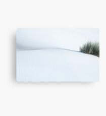 white,white Metal Print