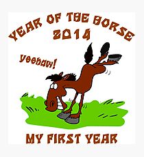 Born Year of The Horse Baby 2014 Photographic Print