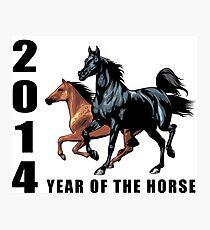 2014 Year of The Horse T-Shirts Gifts Prints Photographic Print