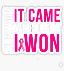 Breast Cancer Survivor I WON Sticker