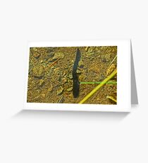 There's Something In The Water Greeting Card
