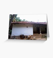Indian Vernacular Houses-4 Greeting Card