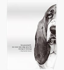 Alfie Poster