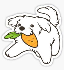 Maltese puppy Sticker