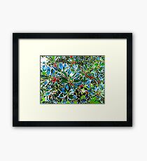Holly Framed Print