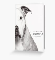 Spud Greeting Card