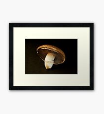 Shitaki Framed Print