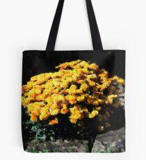 Orange Tote Bag
