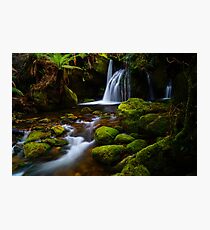 One of the Bastion Cascades, Meander Forest Reserve, northern Tasmania Photographic Print