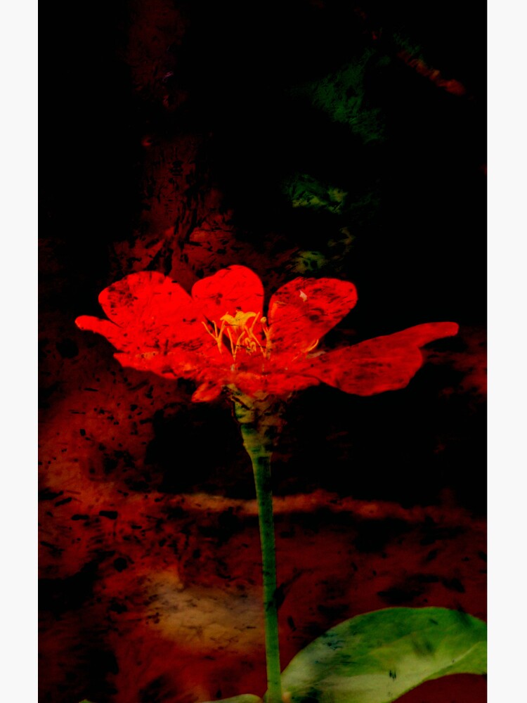 Flower Of Hope by tropicalsamuelv