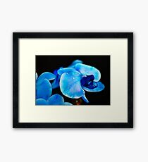 Orchid Framed Print