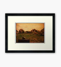 Rock Framed Print