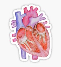 My heart is beating for you... or not Sticker