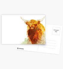 Highland Cow Postcards