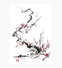 Sakura cherry blossom pink and red flowers tree watercolor original ink painting Photographic Print