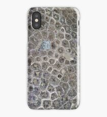 Petoskey Stone, Pure Michigan! iPhone Case/Skin