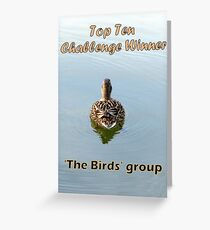 BANNER TopTen BIRDS Greeting Card