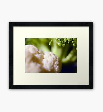 Healthy Framed Print