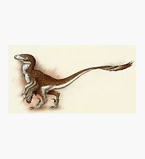 Deinonychus Study Photographic Print