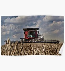Cuttin' Beans - Case Poster