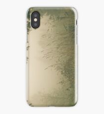 The Magic of Home iPhone Case/Skin
