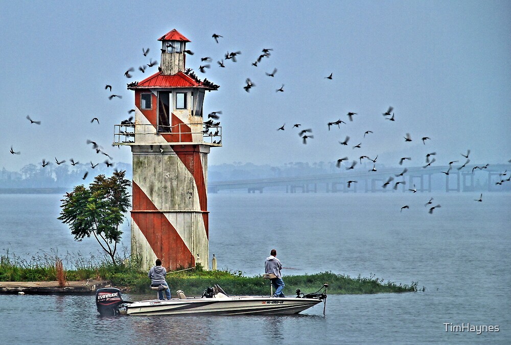 "Fishing Lake Guntersville, Alabama" by TimHaynes | Redbubble