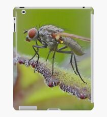 Macro Fly iPad Case/Skin