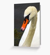 Hallo Greeting Card