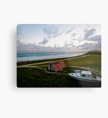 Galapagos Metal Print