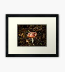 Fly Agaric Toadstool Framed Print