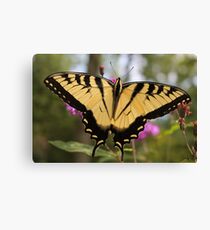 Swallowtail Canvas Print
