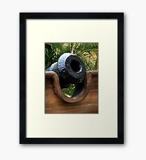 Cannon Framed Print