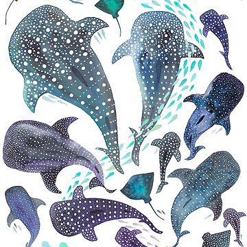Whale Shark, Ray & Sea Creature Play Print  Leggings for Sale by