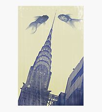 crysler gold fish Photographic Print