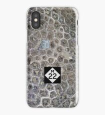 Petoskey Stone, M22 iPhone Case/Skin