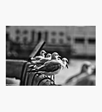 He who has a why to live can bear almost any how. Friedrich Nietzsche... Got Featured Work:) Photographic Print