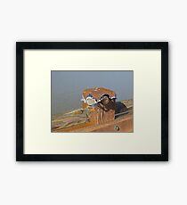 Goggles Framed Print