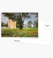 Wild Gazaneas Stockinbingal Postcards