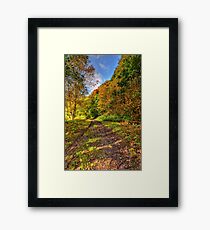 The little stone bench... Framed Print
