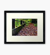 Protected border... Framed Print