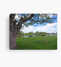 Country style Canvas Print