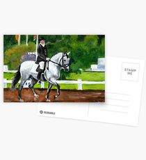 Lusitano Horse Postcards