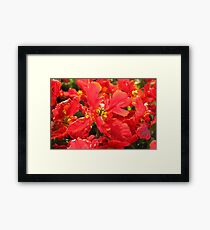 Red Tulips Framed Print