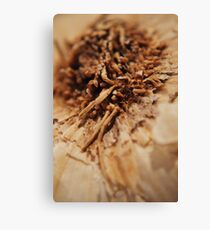 GarlicTop Canvas Print