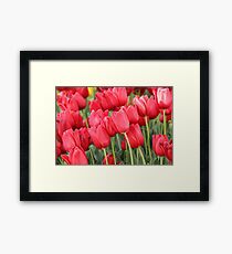 Red Tulips Framed Print